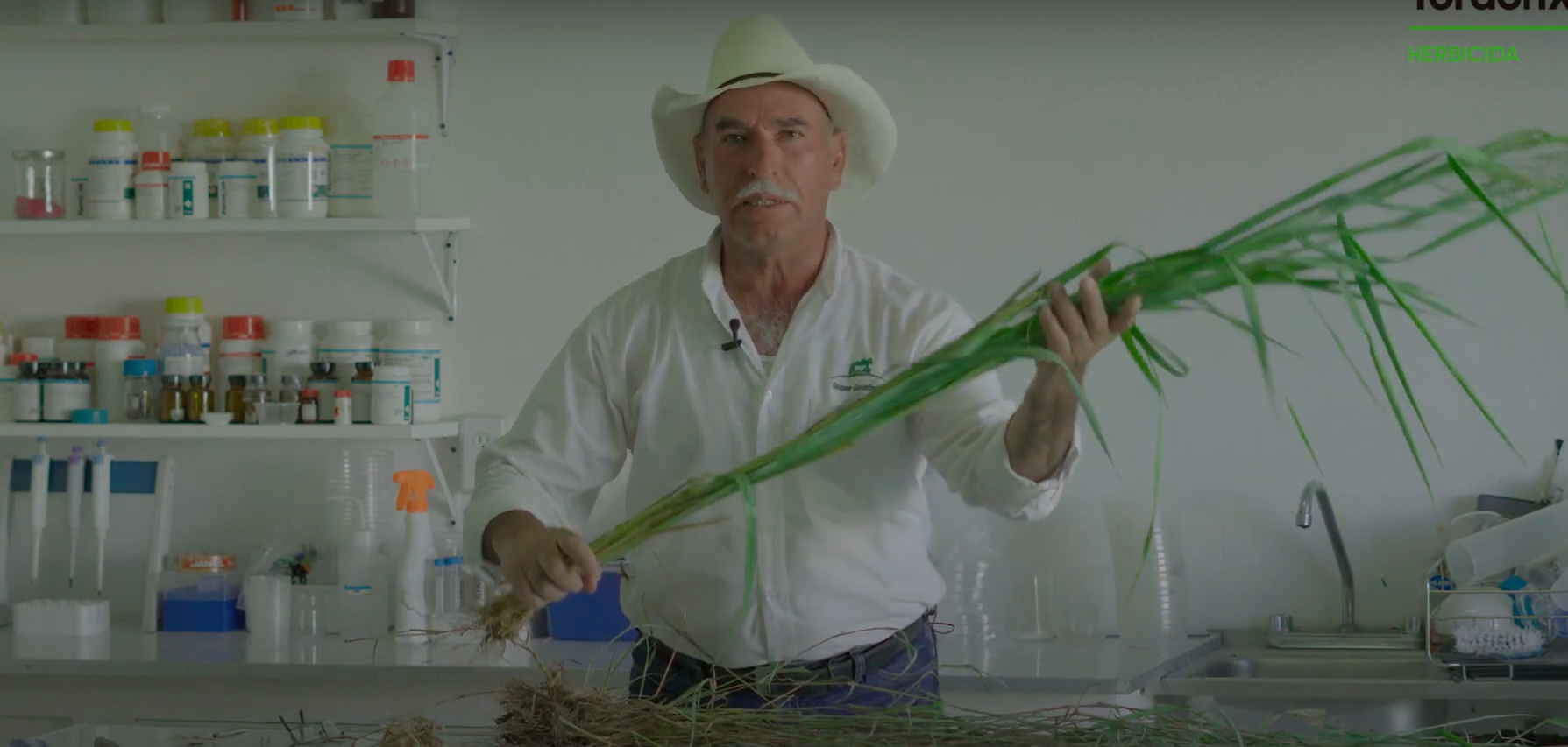 Episodio 11:  Anatomía, morfología